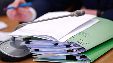 Заседание Комитета по защите семьи, вопросам отцовства, материнства и детства