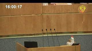 Пленарное заседание 21.05.2013 (16.00-18.00)