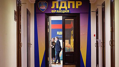 Круглый стол фракции ЛДПР на тему «Наставник ЛДПР»