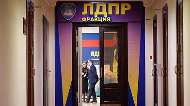 Круглый стол фракции ЛДПР по завершении I сезона образовательного проекта РАНХиГС "Молодой законотворец", созданного при поддержке общественного движения "Мы любим Россию" и ЛДПР