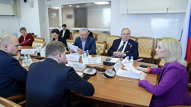 Заседание Комитета по развитию гражданского общества, вопросам общественных и религиозных объединений