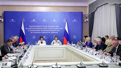 Заседание Парламентской комиссии по расследованию преступных действий в отношении несовершеннолетних со стороны киевского режима