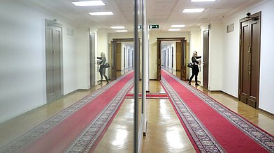 Заседание рабочей группы Экспертного совета при Комитете по защите семьи, вопросам отцовства, материнства и детства на тему "О разработке законодательства о мерах поддержки студенческих семей"