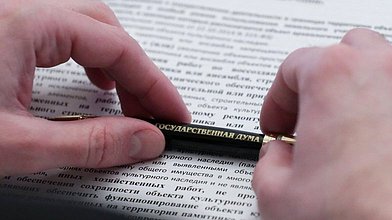 Заседание Комитета по труду, социальной политике и делам ветеранов