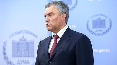 Вячеслав Володин о голосовании депутатов в ходе пленарного заседания