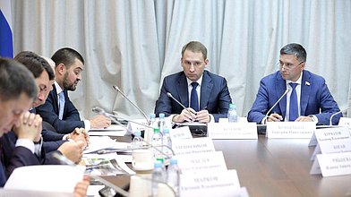 Заседание Комитета по экологии, природным ресурсам и охране окружающей среды с участием Министра природных ресурсов и экологии РФ Александра Козлова