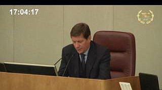 Пленарное заседание 23.01.2013 (17.00-18.40)